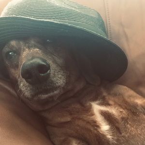 Meet your Posher, Angelina